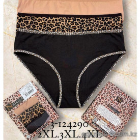 b4-124290 Nicoletta Комплект женских трусиков: тройка, большие размеры, 1 пачка (3 шт) b4-124290 Nicoletta Комплект женских трусиков: тройка, большие размеры, 1 пачка (3 шт)