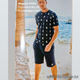d7-9194-2 Комплект мужской одежды: футболка и шорты, S-XL, 1 пачка (4 шт)