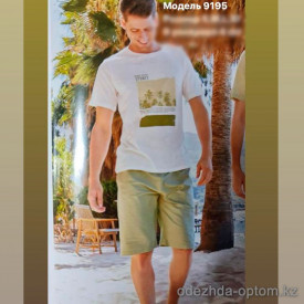 d7-9195 Комплект мужской одежды: футболка и шорты, S-XL, 1 пачка (4 шт)