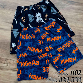 z2-1102-5 Пляжные мужские шорты, большие размеры, 3XL-5XL, 1 пачка (3 шт)