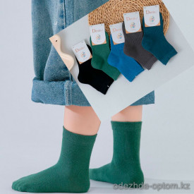 n5-3067 Носочки детские демисезонные, 1 пачка (10 пар)
