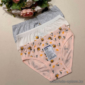 d7-5754 Baykar Трусики детские с принтом, 1 пачка (12 шт)