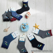 n5-0244 Носочки детские махровые, 1 пачка (10 пар)