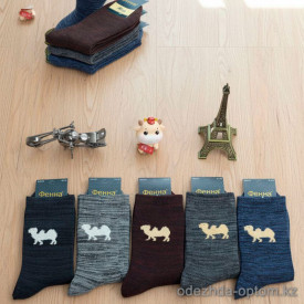 n5-0259 Носки мужские махровые, 1 пачка (10 пар)