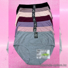 b6-3106 Anttifu Трусики женские однотонные, большие размеры, 4XL-6XL, 1 пачка (24 шт) b6-3106 Anttifu Трусики женские однотонные, большие размеры, 4XL-6XL, 1 пачка (24 шт)