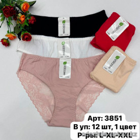 b6-3851 Трусики женские кружевные, L-2XL, 1 пачка (12 шт) b6-3851 Трусики женские кружевные, L-2XL, 1 пачка (12 шт)