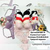 b6-SS2023087 Miss Wicasa Комплект кружевного нижнего белья: бюстгальтер на среднем поролоне и трусики, чашка B, 1 пачка (3 шт)