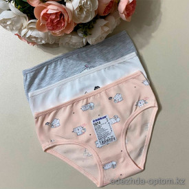 d7-5874-1 Baykar Трусики подростковые на девочку, 1 пачка (12 шт) d7-5874-1 Baykar Трусики подростковые на девочку, 1 пачка (12 шт)