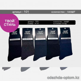 n5-101 Носки мужские весна-лето, 41-47, 1 пачка (10 пар)