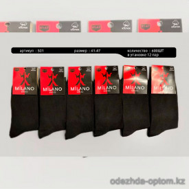 n5-501 Носки мужские весна-лето, 41-47, 1 пачка (12 пар)