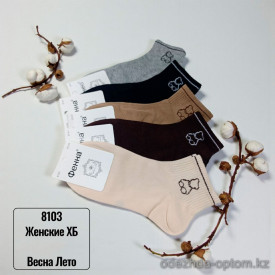 n5-8103 Носки женские весна-лето, 37-41, 1 пачка (10 пар)