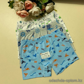 d7-MiniKids-1 Трусики детские боксеры на мальчика, 1 пачка (12 шт)