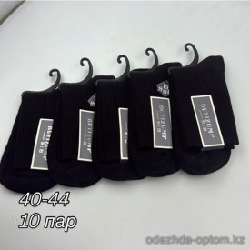 n4-0684 Носки мужские, 40-44, 1 пачка (10 пар)