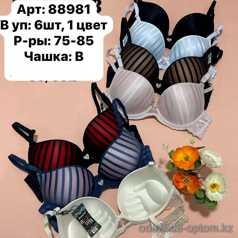 b6-88981 Biweier Бюстгальтер кружевной, чашка B, 1 пачка (6 шт) b6-88981 Biweier Бюстгальтер кружевной, чашка B, 1 пачка (6 шт)