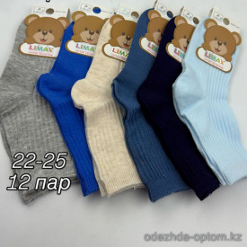 n4-80116-4 Limax Носочки детские, 22-25, 1 пачка (12 пар)