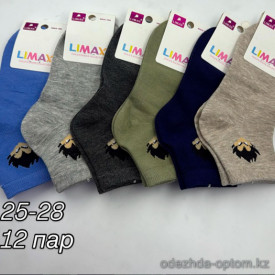 n4-80258-3 Limax Носочки детские, 25-28, 1 пачка (12 пар)