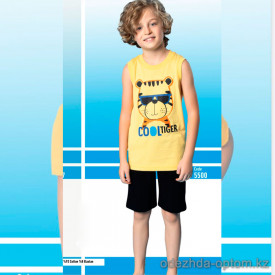 e1-5500-1 Пижама детская на мальчика: футболка и шорты, 4-8 лет, хлопок, 1 пачка (4 шт)