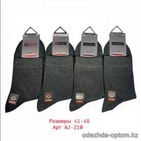 n3-AJ-210 Носки мужские, 41-44, 1 пачка (10 пар)