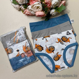d7-262 Комплект детских и подростковых трусиков: тройка, 1 пачка (3 шт)