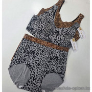 b4-6070-2 Beisdanna Комплект нижнего белья, стандарт, 1 пачка (6 шт)