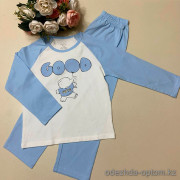 d7-460 Комплект детской пижамы: кофта и штаны, 100-160, 1 пачка (7 шт)