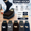 n5-H7013 Фенна Термо-носки мужские, 41-47, 1 пачка (10 пар)