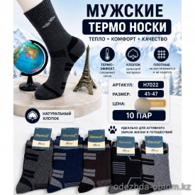 n5-H7022 Фенна Термо-носки мужские, 41-47, 1 пачка (10 пар)