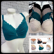 b5-22102 CharmWomen Бюстгальтер с кружевной вставкой, 1 пачка (6 шт)