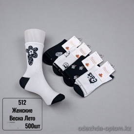 n5-512 Носки женские весна-лето, 36-41, 1 пачка (10 пар)