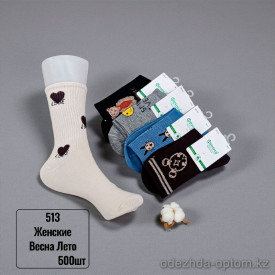 n5-513 Носки женские весна-лето, 36-41, 1 пачка (10 пар)