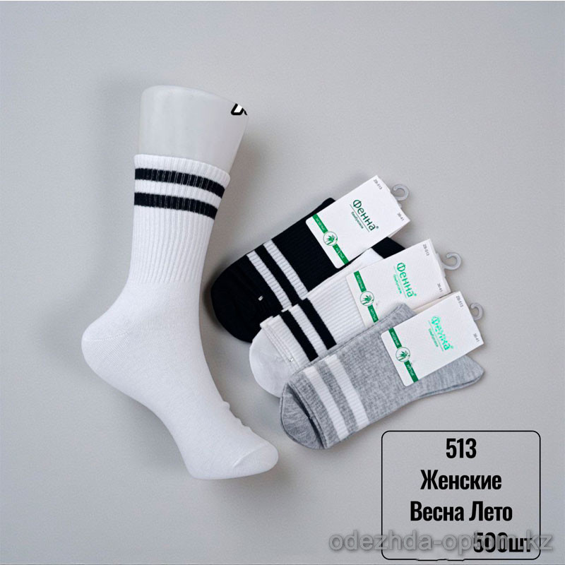 n5-513-1 Носки женские весна-лето, 36-41, 1 пачка (10 пар) n5-513-1 Носки женские весна-лето, 36-41, 1 пачка (10 пар)