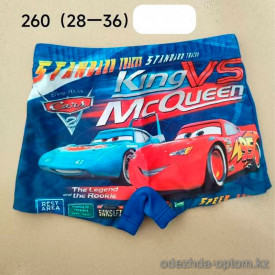 z4-260 Плавки подростковые, 28-36, 1 пачка (10 шт)