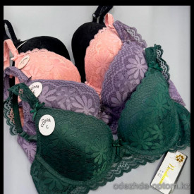 b5-6313c Beisdanna Бюстгальтер кружевной на тонком поролоне, чашка С, 1 пачка (6 шт) b5-6313c Beisdanna Бюстгальтер кружевной на тонком поролоне, чашка С, 1 пачка (6 шт)