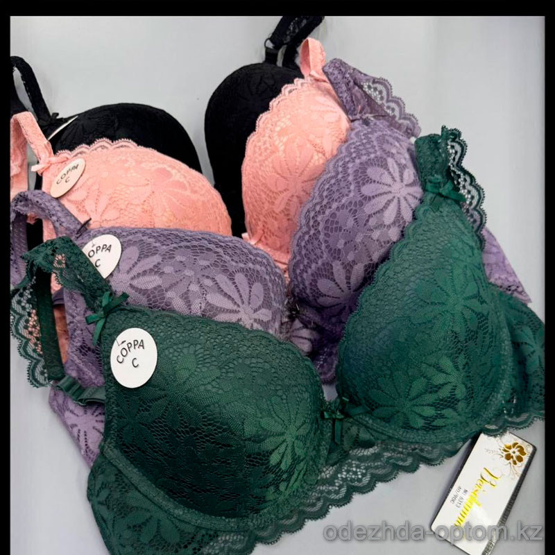 b5-6313c Beisdanna Бюстгальтер кружевной на тонком поролоне, чашка С, 1 пачка (6 шт) b5-6313c Beisdanna Бюстгальтер кружевной на тонком поролоне, чашка С, 1 пачка (6 шт)