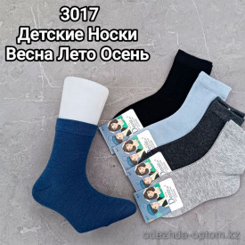 n5-3017 Носочки детские демисезонные, 1 пачка (10 пар)