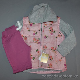 d4-18731 Детский комплект на девочку: штаны, жилет, свитшот, 3-7 лет, 1 пачка (5 шт)
