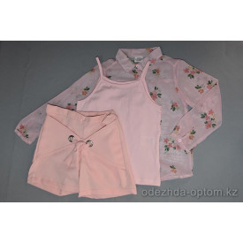 d4-m19325 Детский костюм на девочку: кофта, майка, шорты, 2-5 лет, 1 пачка (4 шт)