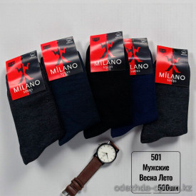 n5-501-1 Носки мужские весна-лето, 41-47, 1 пачка (10 пар)