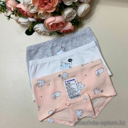 d7-5876-1 Baykar Трусики подростковые для девочки, 7 (13-14) лет, 1 пачка (12 шт)