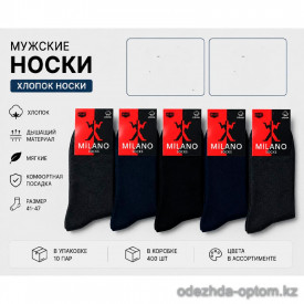 n5-501-1 Носки мужские весна-лето, 41-47, 1 пачка (10 пар)