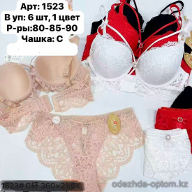 b6-1523 Lavolle Комплект кружевного нижнего белья: бюстгальтер и трусики, чашка C, 1 пачка (6 шт)