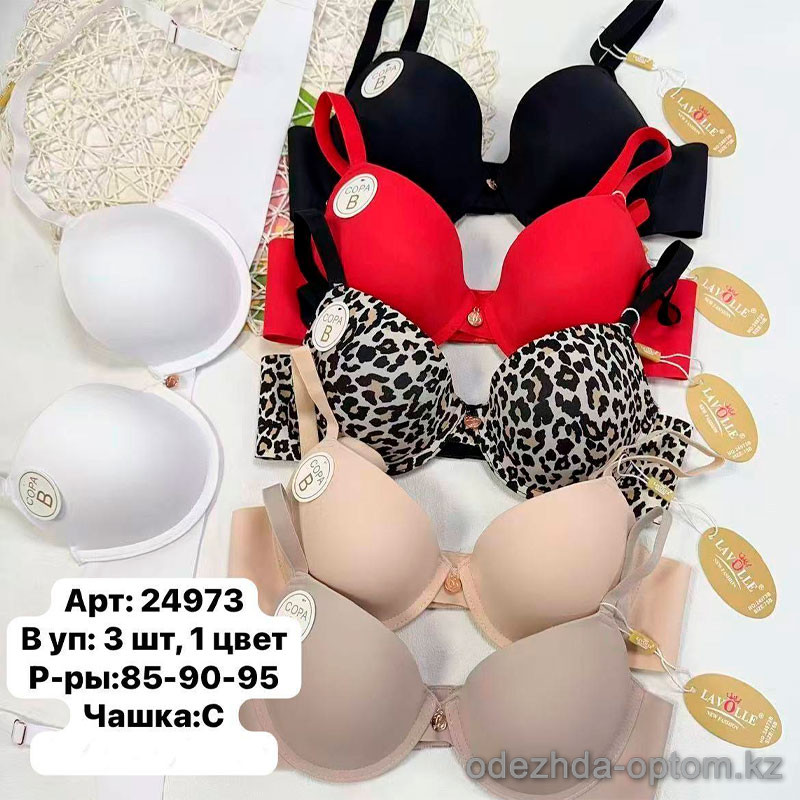 b6-24973 Lavolle Бюстгальтер гладкий с поролоном, 1 пачка (3 шт) b6-24973 Lavolle Бюстгальтер гладкий с поролоном, 1 пачка (3 шт)