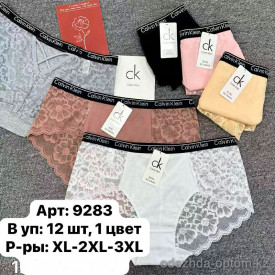 b6-9283-1 Трусики женские с кружевом, XL-3XL, 1 пачка (12 шт) b6-9283-1 Трусики женские с кружевом, XL-3XL, 1 пачка (12 шт)