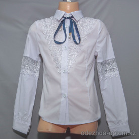 d10-1663 Школьная блузка для девочки, длинный рукав, 32-42, 1 пачка (6 шт)