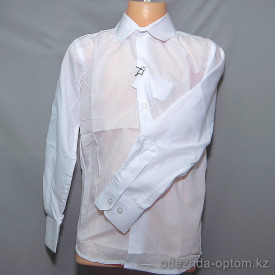 d10-1703 Школьная рубашка для мальчика, длинный рукав, 30-37, 1 пачка (10 шт)