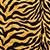 Тигровый